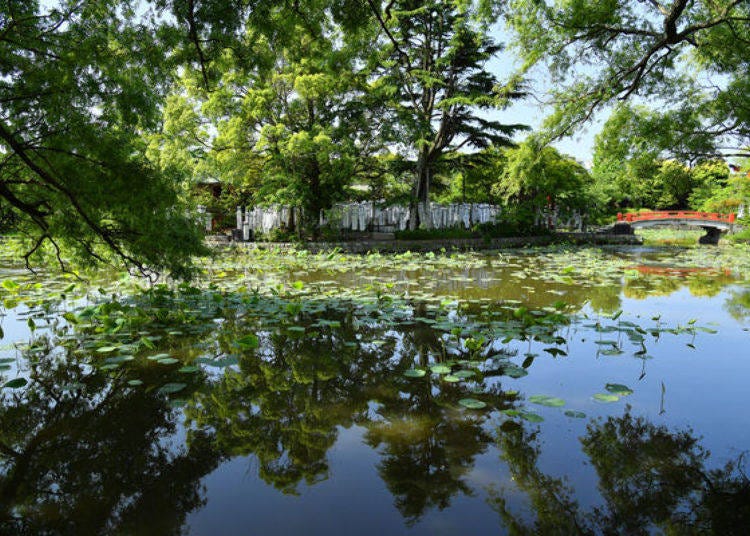 The Genpei Pond boasts magnificent seasonal scenery.