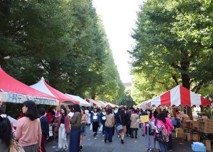 日本獨特的校園文化 學園祭 讓我們一同遊歷一場讓外國人更能深度了解日本文化的多元語言交流旅程吧 live japan 日本旅遊