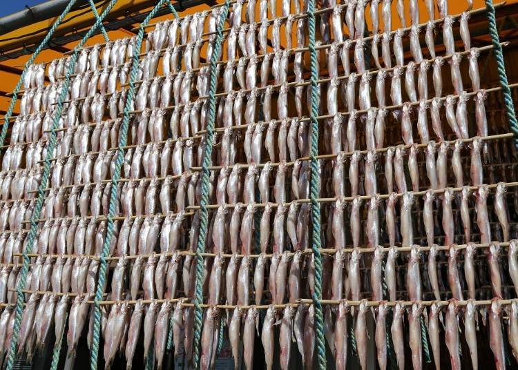 The shishamo (smelt) is hung out to dry in the crisp autumn air and its rich umami flavor unfolds.