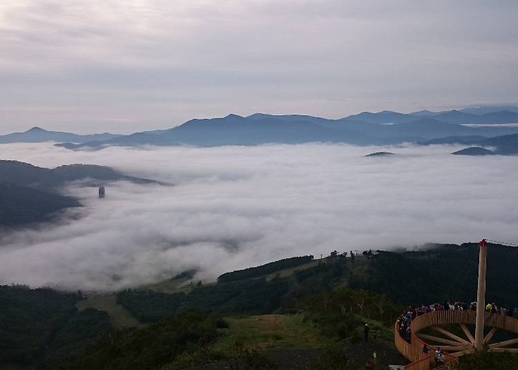 Early in the morning, Shimukappu is emerged in a sea of clouds.