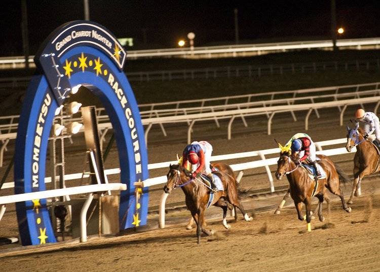 The horses race through the lit-up course.