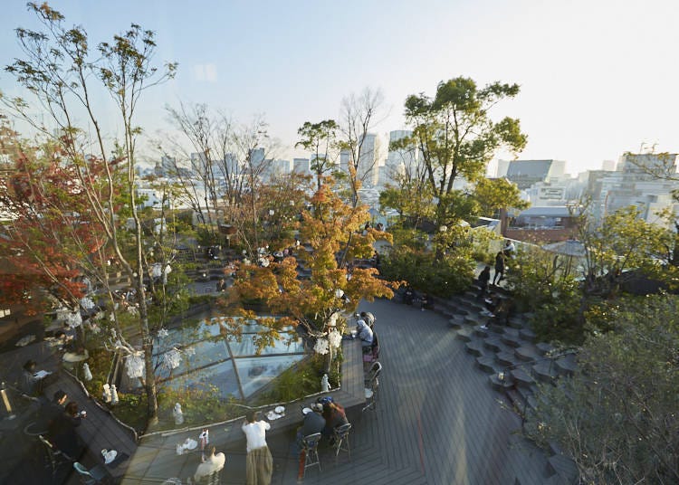 Omohara no Mori: a Green, Calm Oasis in the Middle of the City