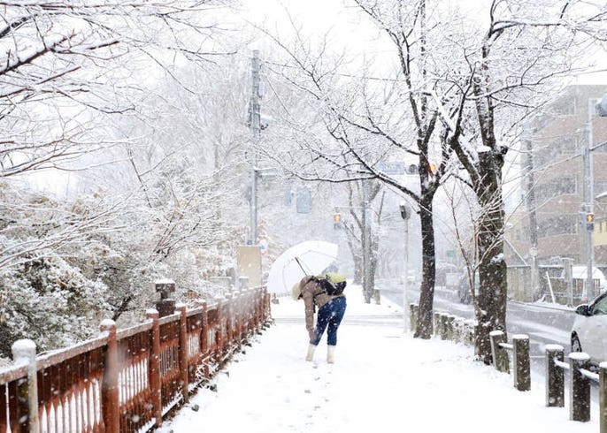 東京容易下雪嗎 教你這樣看懂日本天氣預報 遇到下雪時你該注意的事 Live Japan 日本旅遊 文化體驗導覽