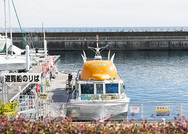 Pleasure cruiser “Haruhiramaru Iruka” is open for boarding from 9:40am to 3:40pm every 40 minutes (opens till 4:40pm on days with exceptionally large crowds)