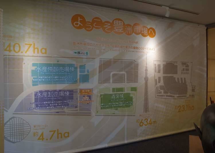 Features of the Toyosu Market
