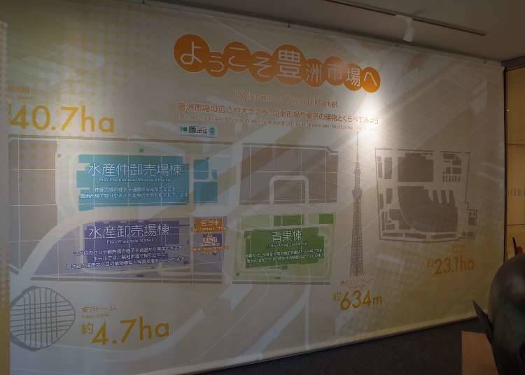 The Toyosu Market is even larger than the Tsukiji Market