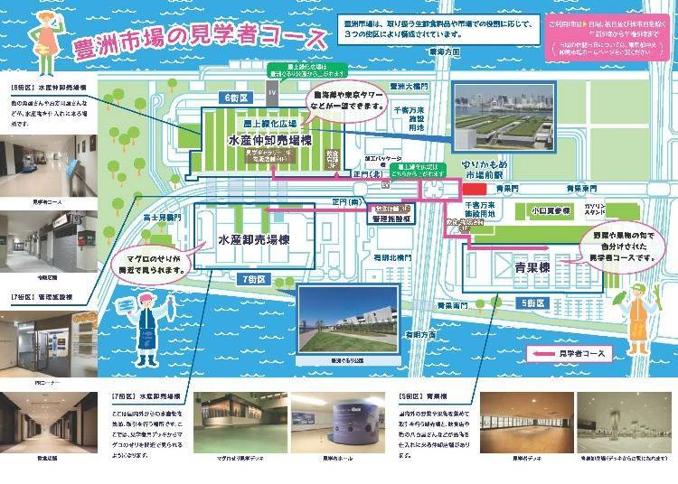 Toyosu Market Guide: What to see