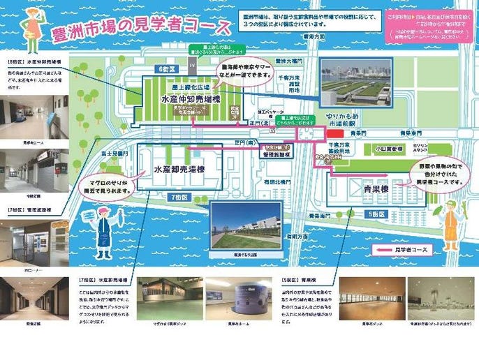 豊洲市場の完全ガイド おすすめスポット グルメ 見学コース 行き方も楽しみ方もまるわかり Live Japan 日本の旅行 観光 体験ガイド