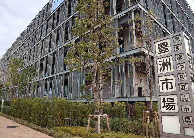 认识丰洲市场