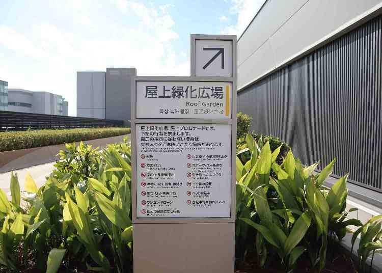 可以饱览东京湾岸区景色的屋顶绿化广场