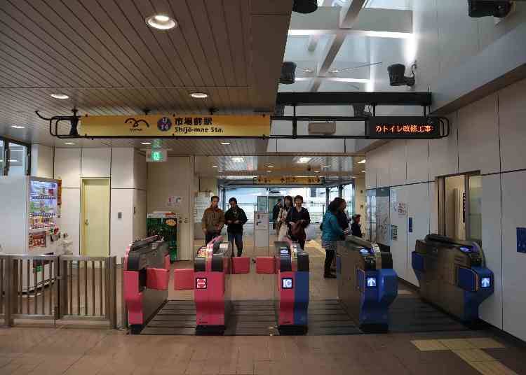 到丰洲市场的交通方法
