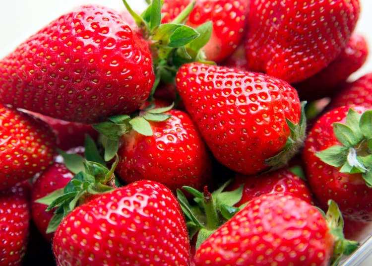 日本草莓怎麼吃？水果達人教你挑選「草莓、柿子、蜜柑、蘋果」小撇步
