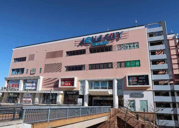 Ultimate Guide To Toyosu Tokyo Must Visit Places Around Toyosu Market Live Japan Travel Guide