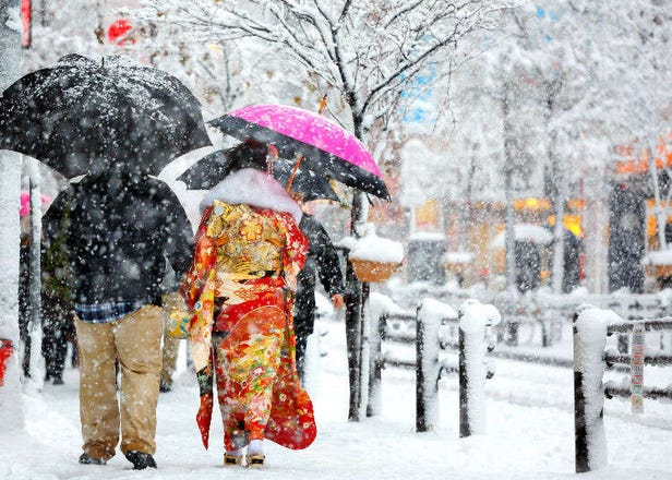Does It Snow in Tokyo? Tokyo Snowfall Probability Based on Amount and Number of Snow Days