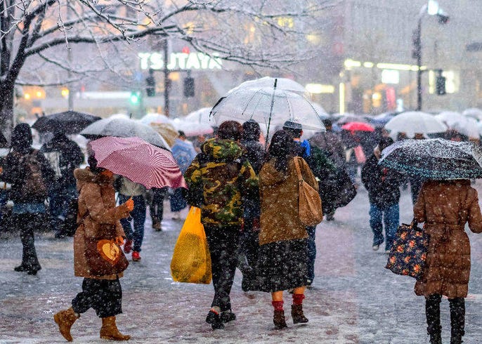 Does It Snow In Tokyo Tokyo Snowfall Probability Based On Amount