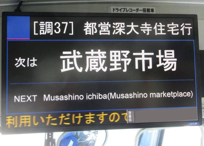 live japan
