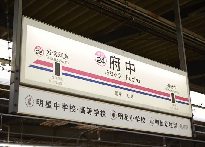 live japan