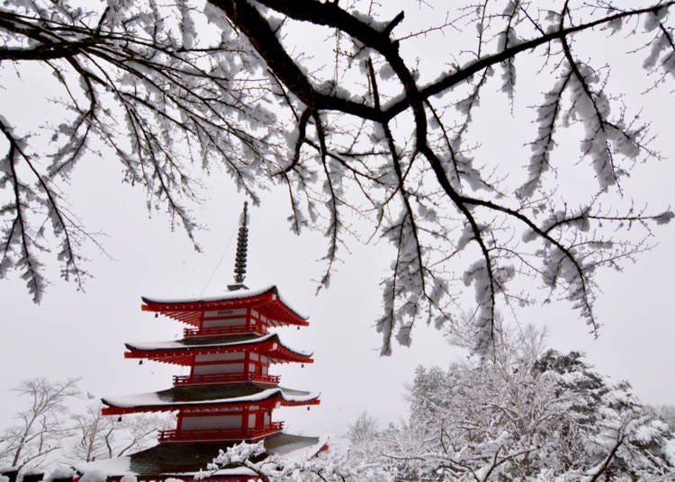 What is Japan's weather like in February 2024?