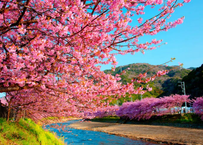 Complete Guide To Visiting Japan In February 2020 Weather What