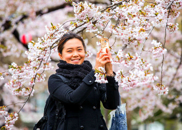Visiting Japan: Survival Tips First-Time Visitors! | LIVE JAPAN guide