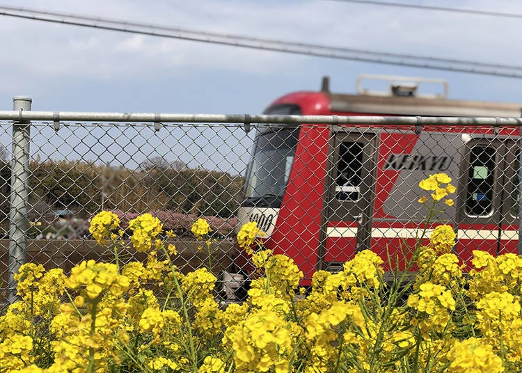 2. Iconic Photos with Keikyu Trains