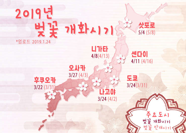 일본벚꽃개화시기 벌써 시작된 일본 전국의 벚꽃 개화시기와 팁 2019년편 Live Japan 일본여행 추천명소 지역정보