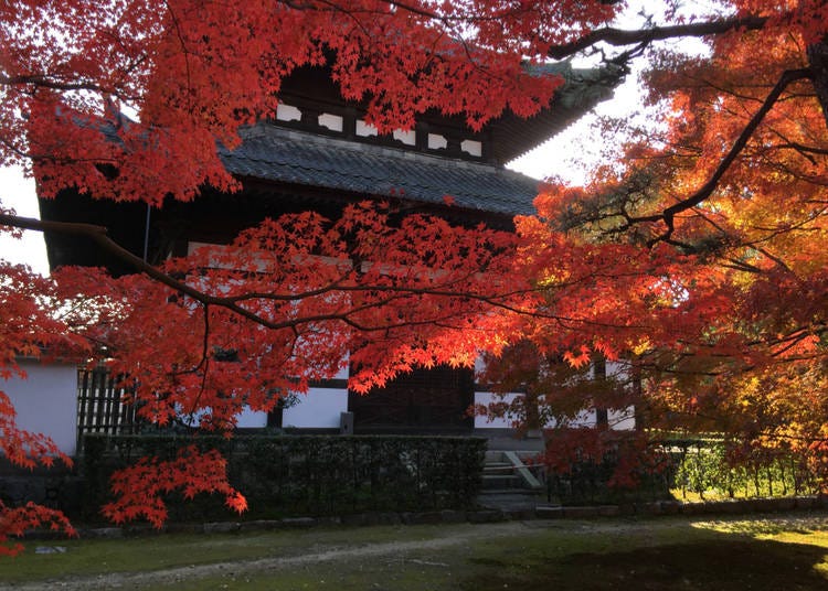 8 – Tofuku-ji – Kyoto