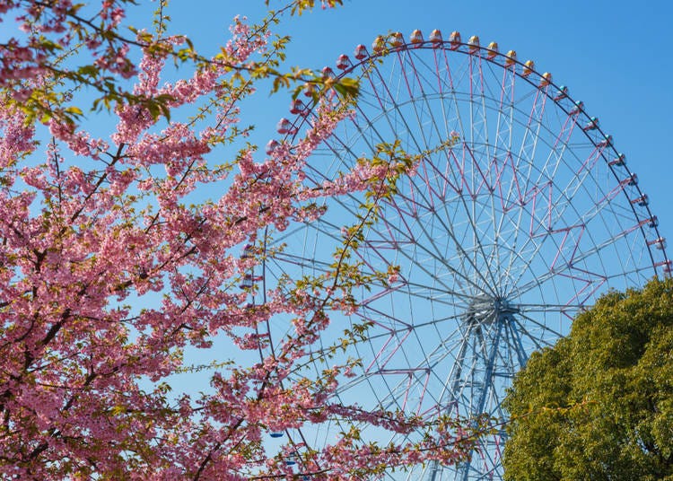 #18. 葛西臨海公園 - Kasai Seaside Park (Kasai Rinkai Koen) (139.1k Photos)