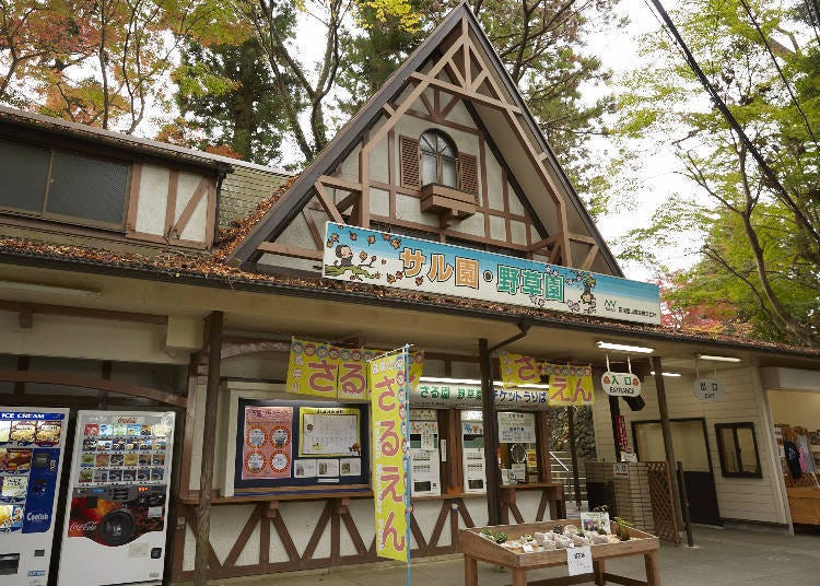 【推薦景點①】在「猴園」體驗餵食猴子的樂趣