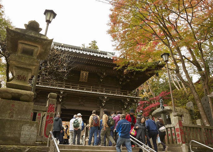 東京新宿出發一日來回 絕景 美食滿點的高尾山完美行程 高尾山站長推薦不能錯過 live japan 日本旅遊 文化體驗導覽