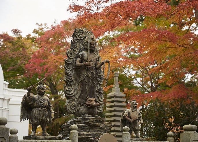 東京新宿出發一日來回 絕景 美食滿點的高尾山完美行程 高尾山站長推薦不能錯過 Live Japan 日本旅遊 文化體驗導覽