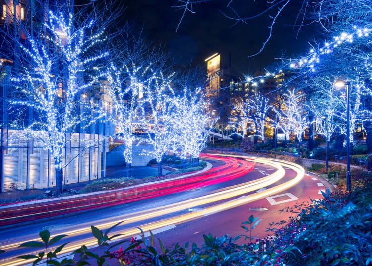 十二月：Illumination耶誕燈飾！為東京街道點上最美的裝扮