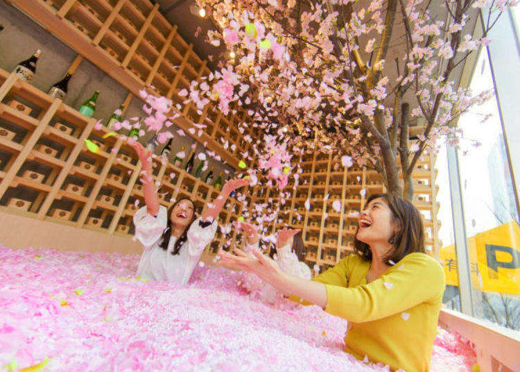 Sakura Chill Bar: Cherry Blossom Bar with Sakura Petal Pool Opening in Tokyo!