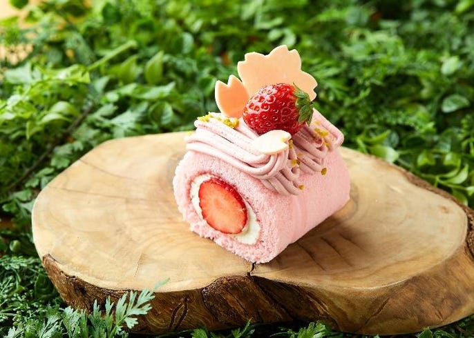 コレド室町で日本の春を満喫 桜を愛でながら食や文化を楽しむ 日本橋桜フェスティバル Live Japan 日本の旅行 観光 体験ガイド