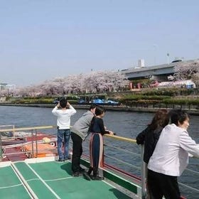 Asakusa Yakatabune Boat Ride with Meals & All-You-Can-Drink Beverages