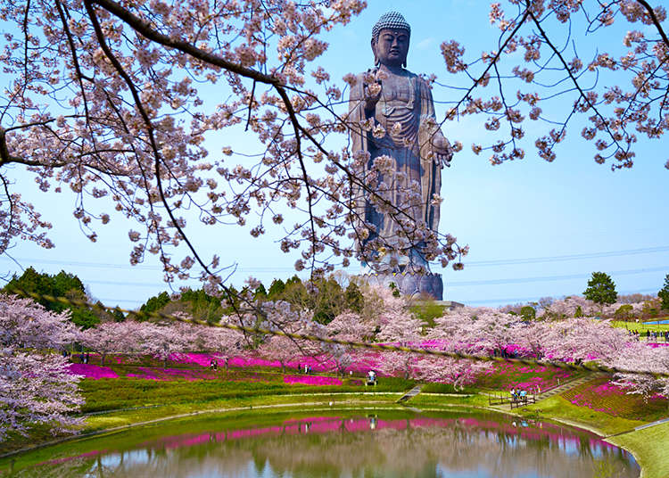 Ushiku Daibutsu Guide: Visiting The World's Tallest Buddha in Ibaraki
