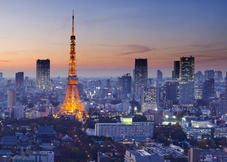 3. View From Tokyo Tower Cam