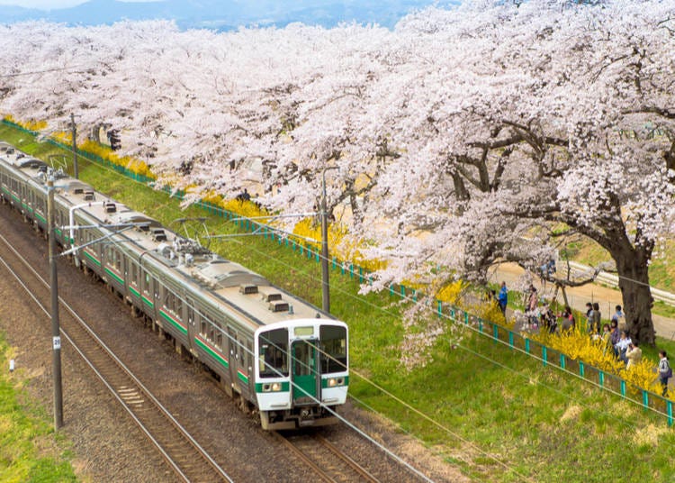 「JR Pass」を活用!ただし目的地によって使い分けるのが◎