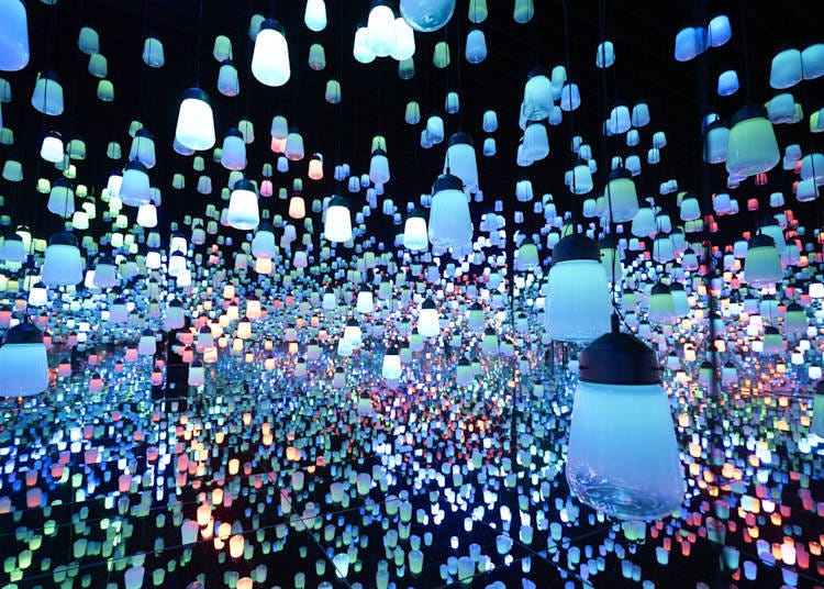 Perfect for photos! Enjoy the embrace of lamps! “Forest of Resonating Lamps – One Stroke”