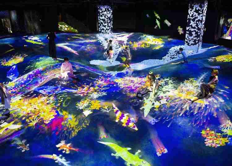 teamLab Exhibition view of MORI Building DIGITAL ART MUSEUM teamLab Borderless, 2018, Odaiba, Tokyo © teamLab