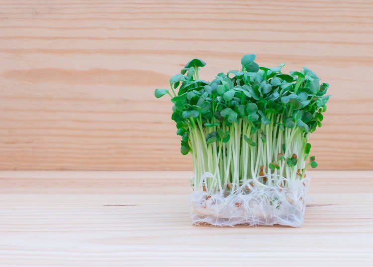 The Difference Between "Kaiware Daikon" and "Daikon"
