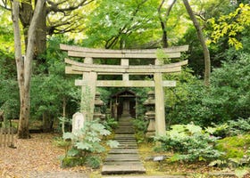 Inside Nezu Art Museum: Authentic Japanese Garden in the Heart of Tokyo, an Oasis of Omotesando