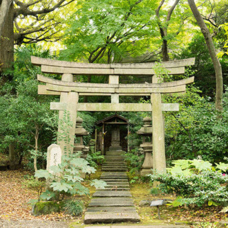 Inside Nezu Art Museum Authentic Japanese Garden In The Heart Of