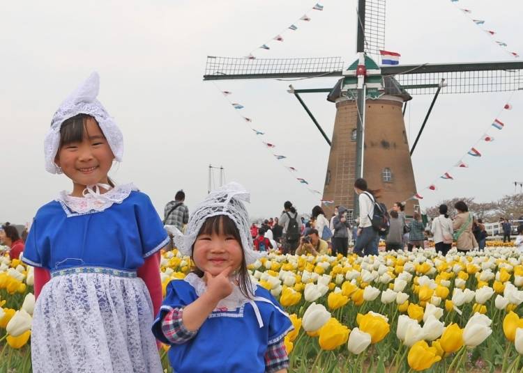 Sakura Tulip Festa: A family-friendly Japanese festival for all ages!