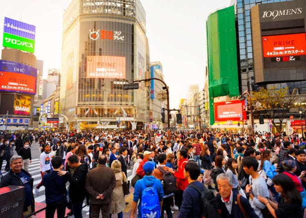 'What's in Shibuya?' 5 Ways the Shibuya Area Is Way Different From What Tourists Expected