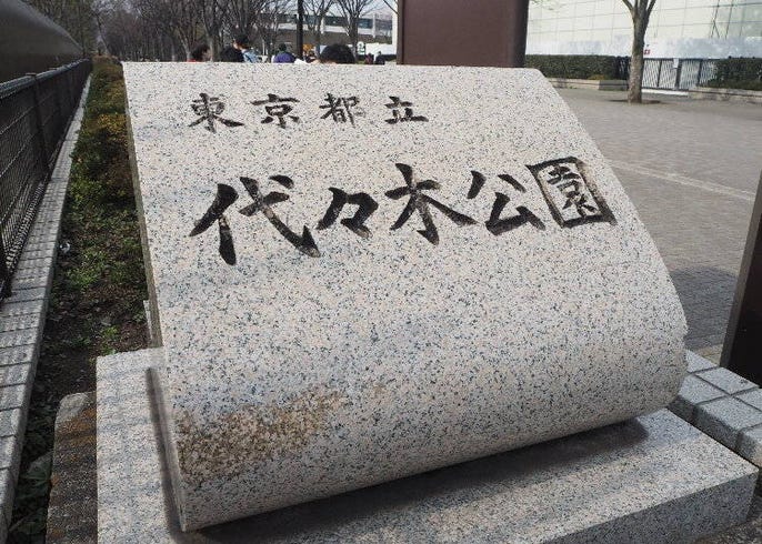 渋谷でおすすめの無料スポット5選 大人から子供まで楽しめる0円観光スポット Live Japan 日本の旅行 観光 体験ガイド
