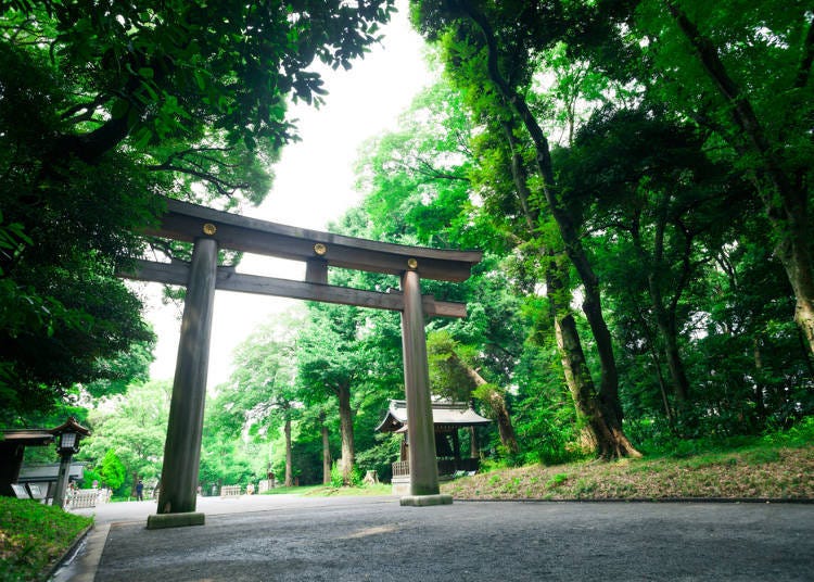 The Torii Gate at the entrance to the shrine. The Torii gate represents the boundary between the everyday world and the holy precincts.