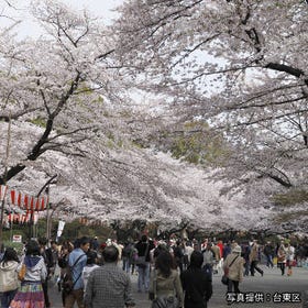 Ueno Park