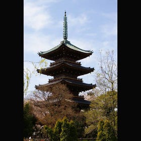 Five-story Pagoda of Former Kan'ei-ji Temple