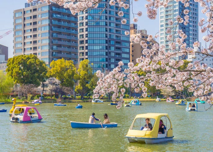 東京上野景點 不只有櫻花 上野公園的春夏秋冬四季不同的面貌 活動資訊 Live Japan 日本旅遊 文化體驗導覽